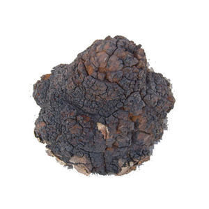 Экстракт грибов - Product Image 3