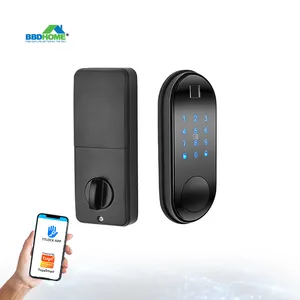 Smart Ttlock Tuya frontale digitale biometrico Password impronta digitale catenaccio serrature