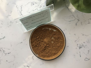 トリテルペングリスコシド2.5%, 5%, 8% ヘルスケア原料天然ブラックコホーシュエキス - Product Image 3