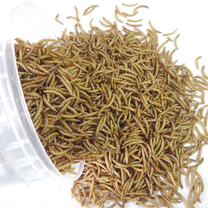 Hoge Voeding Gevogelte Kip Vogel Feed Gedroogde Meelworm 800G - Product Image 5
