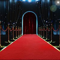 Filmfestival Roter Teppich Luxuriöser VIP-Eingangsteppich für Preisverleihungen und Premiere-Events