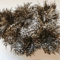 Plumes de coq grizzly en gros, grises, couleur chinchilla, en guirlande, pour la fabrication de mouches de pêche à la mouche, fournitures d'artisanat en vrac