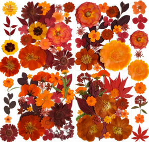 <span class=keywords><strong>Flores</strong></span> Secas para Manualidades, <span class=keywords><strong>Flores</strong></span> Naturales Prensadas para Resina, Arte DIY, Joyería, Fabricación <span class=keywords><strong>de</strong></span> Velas y Jabones - Product Image 3