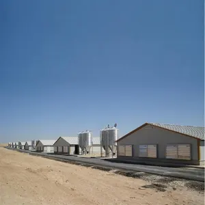 Closed Type Large Scale Environmental Steel Structure Design Poultry Farm Shed