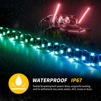 Lampe LED flexible 12V 60CM 90CM 120CM pour voiture et moto, avec télécommande, contrôle musical par application, étanche, RGB, type drapeau
