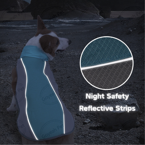 Verano transpirable <span class=keywords><strong>perro</strong></span> Cooler Jacket reflectante al aire libre <span class=keywords><strong>perro</strong></span> <span class=keywords><strong>chaleco</strong></span> de refrigeración - Product Image 3