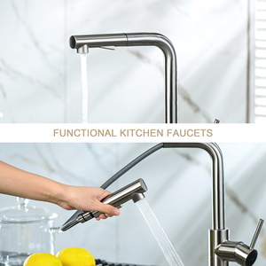 Одноручный выдвижной Распылитель кухонный кран с 2-мя настройками воды - Product Image 3