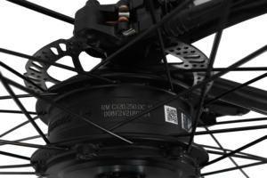 Vélo <span class=keywords><strong>fixie</strong></span> de haute qualité, vélo de route électrique avec transmission par <span class=keywords><strong>courroie</strong></span> Gates, cassette, moteur de moyeu arrière - Product Image 4