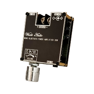 Modulo AUDIO Audio WUZHI ZK-301B Mono 30W BT 5.<span class=keywords><strong>3</strong></span> scheda amplificatore per altoparlanti AUDIO con modulo Audio True Wireless TWS - Product Image 1