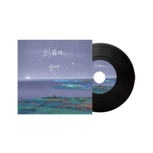 Sản Phẩm Khuyến Mãi Tùy Chỉnh 3 Inch Cho Hàng Thủ Công Trong Áo Khoác Ép LP Vinyl Màu Đen - Product Image 3