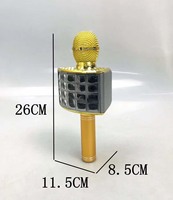 WS868 système de cinéma domestique Portable Rechargeable sans fil Mini haut-parleur karaoké BT avec Microphone
