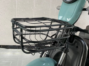 Triciclos Eléctricos Populares de 600W, Motocicleta Triciclo, Triciclos de Bajo <span class=keywords><strong>Precio</strong></span>, <span class=keywords><strong>Trimoto</strong></span> - Product Image 6