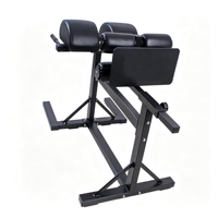 Chaise romaine réglable professionnelle pour salle de sport, banc d'hyperextension, machine d'extension dorsale, équipement d'entraînement de force en métal