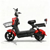 Vélo électrique standard à deux places, batterie au plomb-acide 48V, vélo de ville pour trajets quotidiens avec panier de chargement avant