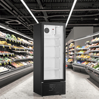 Réfrigérateur vertical à une porte LC-230, refroidisseur de boissons, réfrigérateur commercial, vitrine réfrigérée avec porte en verre, éclairage LED