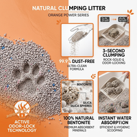 Fabricante de Arena para Gatos de Bentonita Mineral a Granel, Exportación, Altamente Absorbente, Anti-Dispersión, Aglutinación Rápida, Desechable por el Inodoro, Ecológico, Bajo Costo