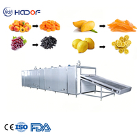 Machine voor het verwerken van gedroogde vruchten, zoals sinaasappelschijfjes, persimmon en bosbessen; industriële machine voor het drogen van fruit en groenten