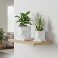 Pot de fleurs moderne de 8 pouces avec trou de drainage, soucoupe carrée, pour herbes/plantes, en forme de sac, pour décoration de jardin intérieur/extérieur, blanc