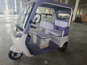 Kanopi <span class=keywords><strong>Trike</strong></span> kargo listrik 1000W, daya Motor 1000W, kapasitas muatan 400kg, bahan baja 60v, sepeda roda tiga penumpang - Product Image 5