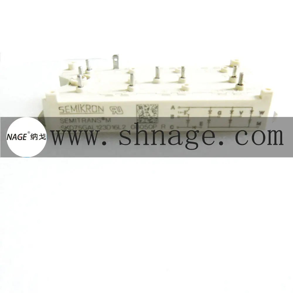High quality cheap price 48v 3000w rectifier module SKCH28 06