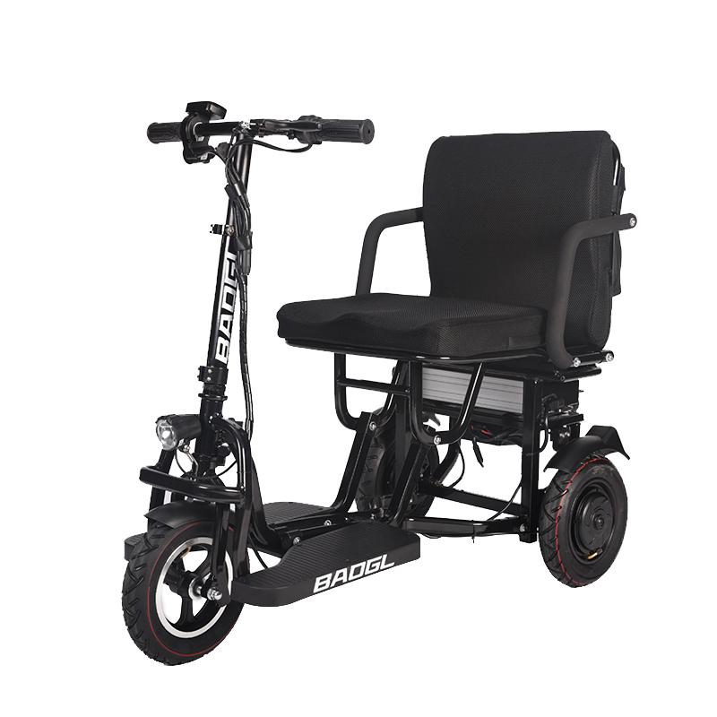 Dual Motor Lithium Electric 3 Wheel