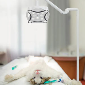 Instrumen bedah medis JD1700l lampu Operasi Operasi Operasi langit-langit LED kecil harga pabrik untuk lampu gigi - Product Image 2