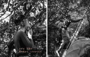 Libro de fotografías (Maestros de los Jardines Zen: El trabajo sagrado de los jardineros japoneses) - Product Image 3