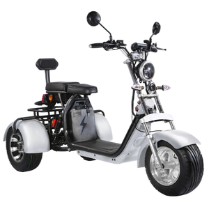 Triciclo Elettrico con <span class=keywords><strong>Ruote</strong></span> Larghe, Bicicletta Elettrica <span class=keywords><strong>a</strong></span> <span class=keywords><strong>Tre</strong></span> <span class=keywords><strong>Ruote</strong></span> per Adulti con Vano Portaoggetti - Product Image 5