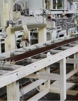 Panneau de revêtement mural en composite bois-plastique (WPC) à grain de bois co-extrudé pour extérieur, étanche