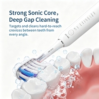 Brosse à dents électrique sonique automatique électronique de vibration ultrasonique rechargeable d'usine pour des adultes