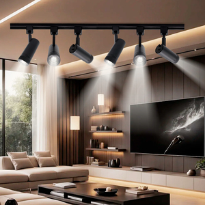 ETL cấp giấy chứng nhận Zoomable <span class=keywords><strong>10</strong></span> Wát 20 Wát 30 wát <span class=keywords><strong>LED</strong></span> ánh sáng theo dõi 3 dây hệ thống Focus <span class=keywords><strong>Led</strong></span> <span class=keywords><strong>COB</strong></span> ánh sáng theo dõi cho Bảo tàng triển lãm Bộ sưu tập - Product Image 5