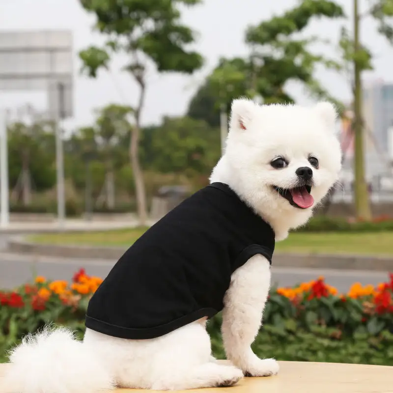TTT شعار مخصص متعدد الألوان رقيقة الصيف الفراغات عادي القطن الكلب الزى الكلاب الملابس