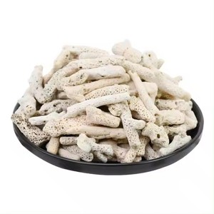 พิพิธภัณฑ์สัตว์น้ําจัดสวนหินปะการังทรายปะการัง - Product Image 1