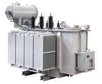 Transformateur de puissance immergé dans l'huile de transformateur de Y-S11-M-562 11kv à 400v 15KV 22KV 30KV 33KV 200kva 1000KVA 3 phases aluminium simple