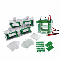 BIOSTELLAR EC-BG04 Cuve d'électrophorèse verticale pour SDS-PAGE, capacité 1 à 4 gels, pour électrophorèse des protéines