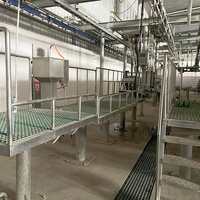 Ligne complète d'abattage de porcs Maisheng, équipement d'abattage de porcs pour abattoir avec matériel de boucherie pour porcins