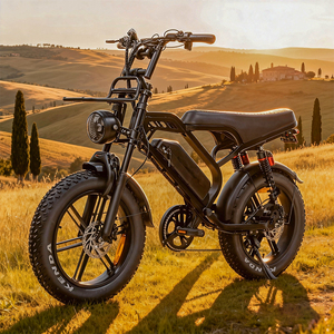 Fatbike V20 Limited, vélo électrique à pneus larges, moteur 250W, batterie 48V 15.6Ah, siège long, double suspension, 20 pouces, pour les trajets en ville, V20 Limited, toutes versions - Product Image 2