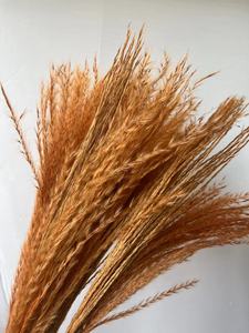 Brosse à <span class=keywords><strong>cheveux</strong></span> douce, bouquet <span class=keywords><strong>de</strong></span> <span class=keywords><strong>fleurs</strong></span> <span class=keywords><strong>séchées</strong></span>, décoration d'intérieur, Pâques, Halloween, vente en gros d'usine - Product Image 6