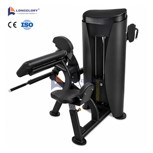 Appareil de musculation professionnel à charges guidées pour la musculation des bras : Machine combinée pour curls biceps et extensions triceps - Product Image 2