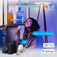 Ampoule LED intelligente Antela E27 4,9W RGB à intensité variable, contrôle Wi-Fi, application d'automatisation domestique, 25000 heures, garantie de 2 ans, 85-265V