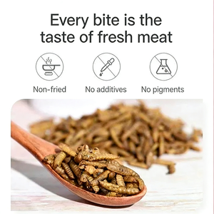 化学物質不使用、非遺伝子組み換えのブラックソルジャーフライ乾燥幼虫は、ペットの免疫システムをサポートする完全な栄養を提供します。 - Product Image 3