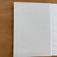 Sudáfrica Venta caliente 288 páginas Libro de mostrador de tapa dura A4 Finint & Margin 3 Quire Cuaderno negro con cinta roja