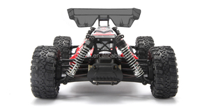 Dingo 1655 1:16 scala elettrico Brushless RC Off Road Buggy 2.4G 4WD veicolo da corsa sportivo impermeabile - Product Image 4