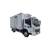 Camion frigorifique léger HLW Euro 3, transmission automatique, caisse isotherme intégrée, options de température multiples, usage urbain