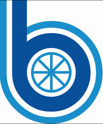 BAO LIEN VIET NAM COMPANY LIMITED logo