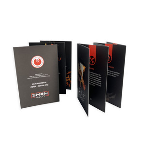 Folleto Plegable Personalizado a Todo Color al por Mayor, Folleto de Papel Negro Mate, Manual de Instrucciones, Catálogo - Product Image 2
