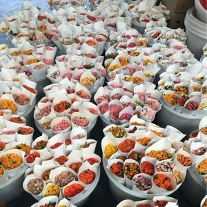 ดอกกุหลาบสดหลายหัว ดอกยาว ขายส่ง สำหรับจัดแต่งทรงผมตรง งานแต่งงาน - Product Image 4