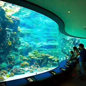 Feuille acrylique à haute transmission pour une visualisation <span class=keywords><strong>sous</strong></span>-marine vibrante et claire dans <span class=keywords><strong>les</strong></span> aquariums - Product Image 1