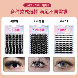 Abonnie <b>Cluster</b> <b>Lashes</b> 10 Rows Double V Shape Handmade False Eyelashes For Professionals - Product Image 2