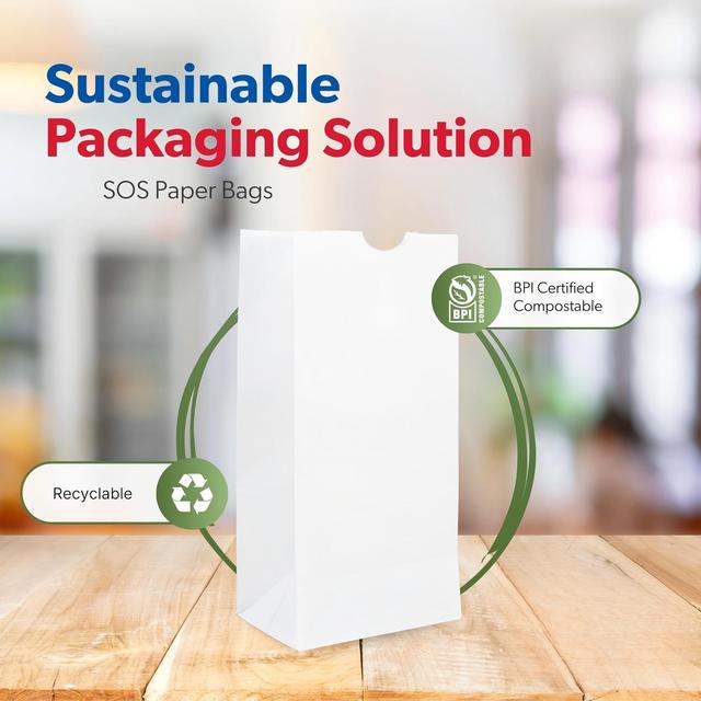 White Popcorn Bags Small White Paper Bags for Candy Cookies Snacks & Treats Life SOS Paper Bag 4.31 X 2.43 X 7.87 Inches